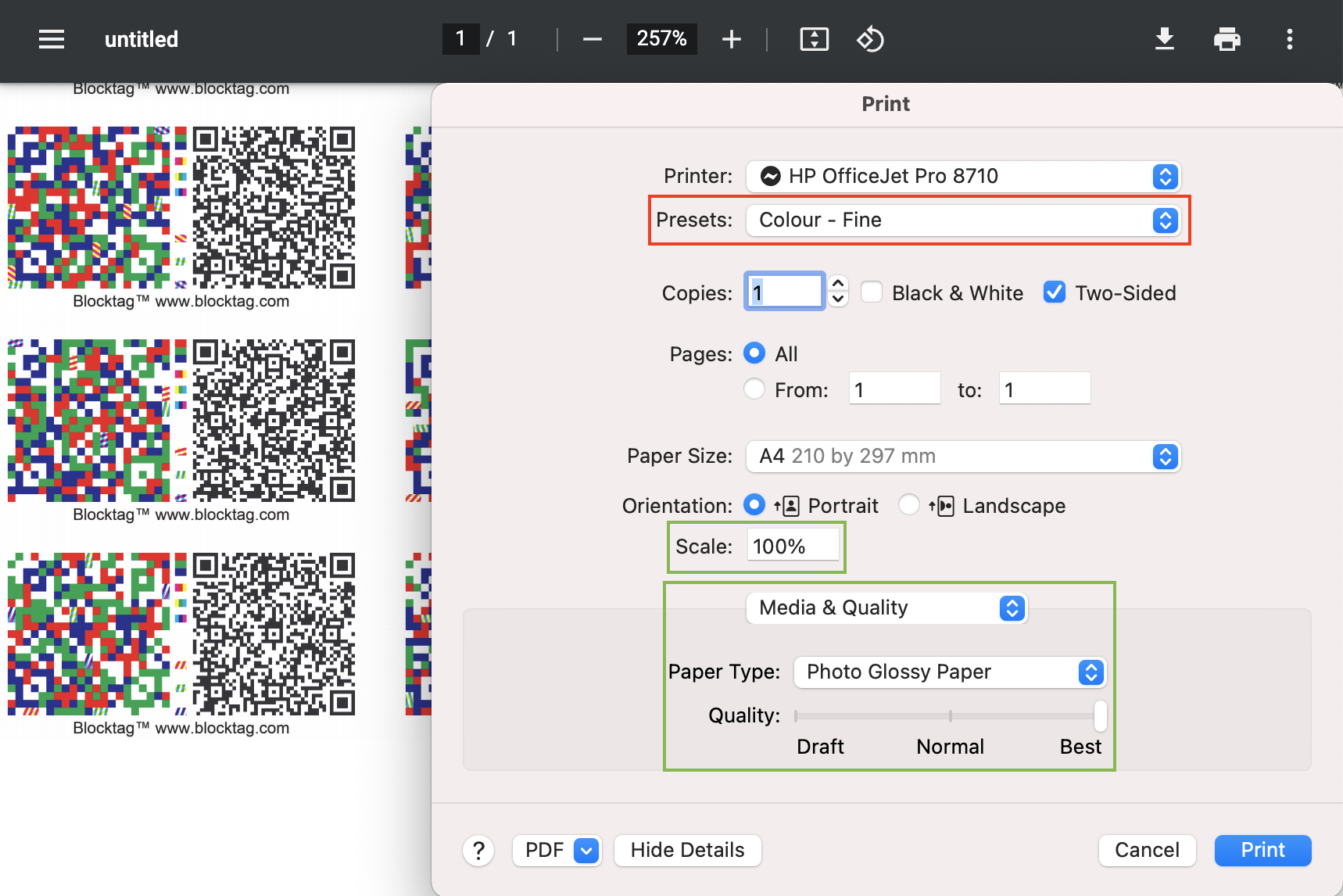 System_Print_Preview2